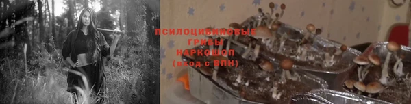 мдма Богданович